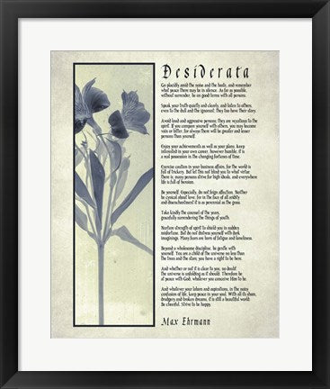 Framed Art Frame Art Desiderata Blue Daguerreotype Wall Decor 18x24 Artwork