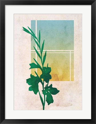 Framed Art Ombre Gladiolus Flowers Wall Decor 18x24 Artwork