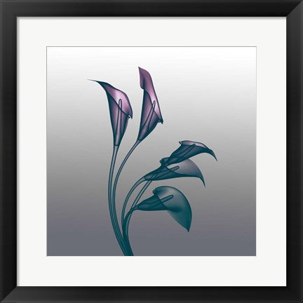 Framed Art Ombre Calla Lilies X-Ray Wall Decor 18x24 Artwork