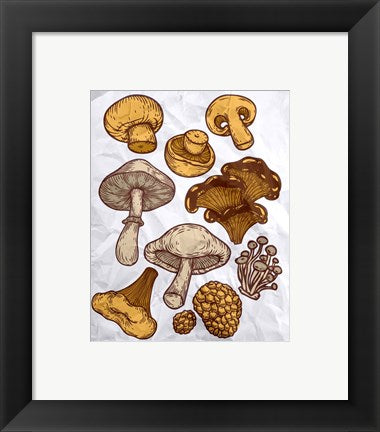 Framed Art Mushroom Variation Wall Decor 18x24 Artwork