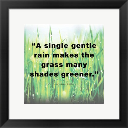 Framed Art A Single Gentle Rain - Henry Thoreau Quote (Light) Wall Decor18x24 Artwork