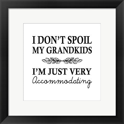 Framed Art I Don't Spoil My Grandkids Leaf Design White Wall Decor 18x24 Artwork
