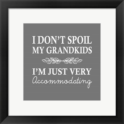 Framed Art I Don't Spoil My Grandkids Leaf Design Gray Wall Decor 18x24 Artwork