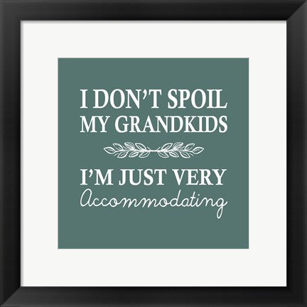 Framed Art I Don't Spoil My Grandkids Leaf Design Teal Wall Decor 18x24 Artwork