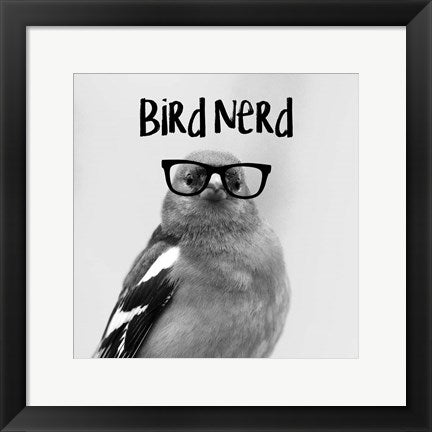 Framed Art Framed Bird Nerd - Chaffinch Wall Art Wall Decor18x24 Artwork