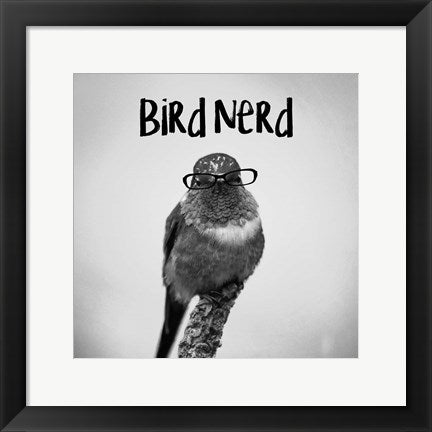 Framed Art Bird Nerd - Hummingbird Wall Decor18x24 Artwork