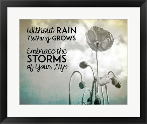Framed Art Without Rain Nothing Grows Black and White Wall Decor 18x24 Artwork