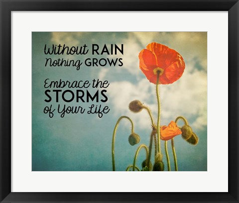 Framed Art Without Rain Nothing Grows Color Wall Decor 18x24 Artwork