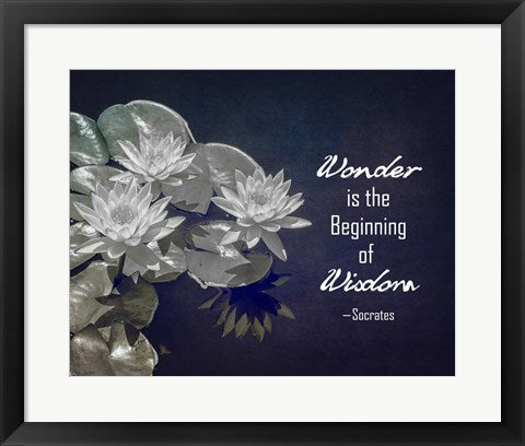 Framed Art Wonder is the Beginning of Wisdom Water Lily Black and White Wall Decor 18x24 Artwork