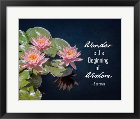 Framed Art Wonder is the Beginning of Wisdom Water Lily Color Wall Decor 18x24 Artwork