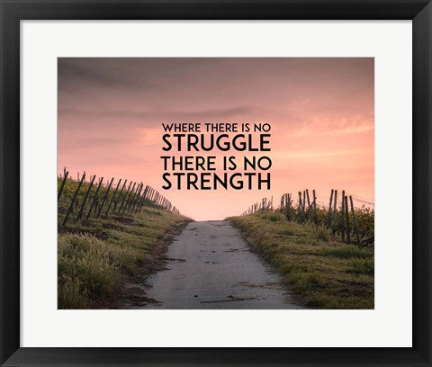 Framed Art Where There Is No Struggle There Is No Strength - Color Wall Decor 18x24 Artwork