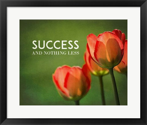 Framed Art Success And Nothing Less - Flowers Color Wall Decor 18x24 Artwork