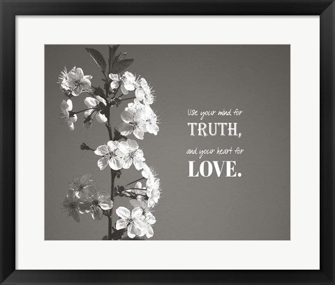 Framed Art Use Your Mind For Truth - Flowers on Branch Grayscale Wall Decor 18x24 Artwork