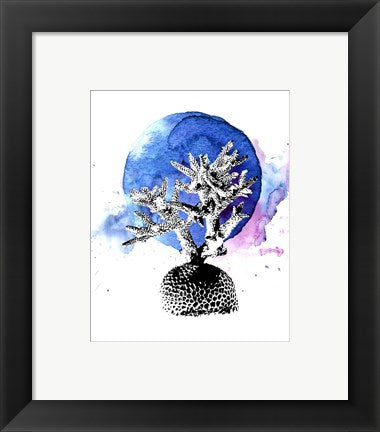 Framed Art Coral with Blue Splash Wall Decor18x24 Artwork