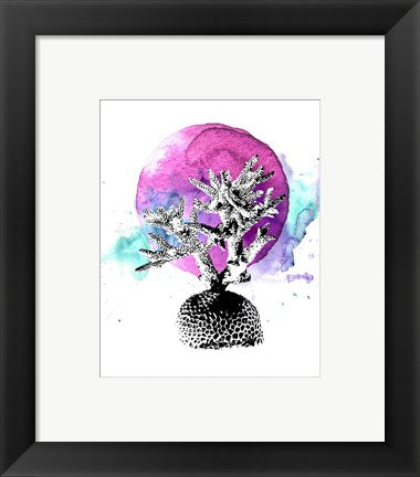 Framed Art Coral with Pink Splash Wall Decor18x24 Artwork