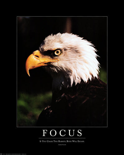 Framed Focus: Eagle 20 x 16