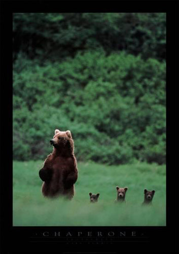 Chaperone by Mark Newman - Captivating 34x24 " Wall Art Print for Modern Home Décor