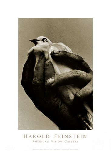 Bird in Hand, 1957 by Harold Feinstein - Vintage Photography Art Print | 26 Wall Decor