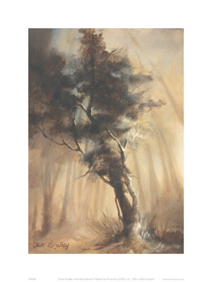 Woodland Sentinel Art Print by Oliver Pengilley - 15.75 x 11.75 Wall Decor