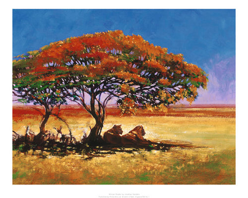 African Shade by Jonathan Sanders Wall Art Décor 15.7 x 19.7 Art Print