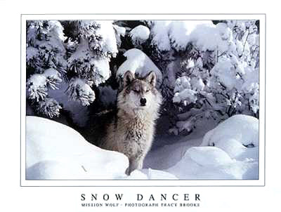 Framed Snow Dancer by Tracy Brooks | 23 7/8 x 31 3/4