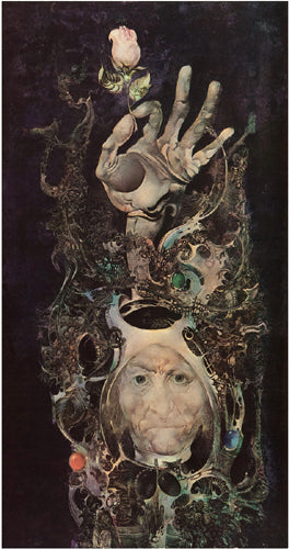 Framed The Rose by Endre Szasz | 21 x 11