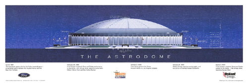 Framed The Astrodome by Andy Hickes | 8 x 24