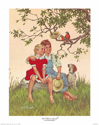Framed Ain't Nature Grand! by Arthur Sarnoff | 14 x 11