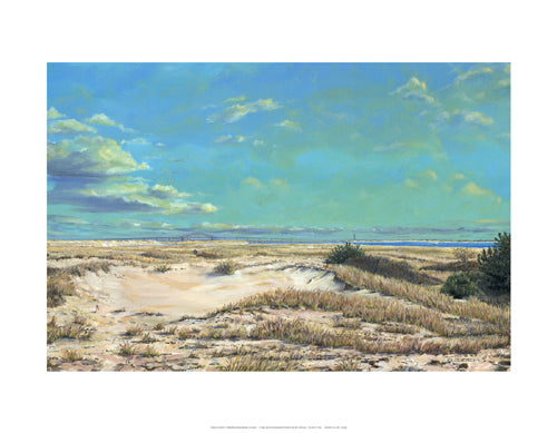 American Sands by Doug Zider Wall Art Décor 14 x 18 Art Print