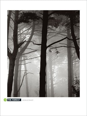 The Forest by Nicholas Pavloff Wall Art Décor 31 1/2 x 23 5/8 Art Print