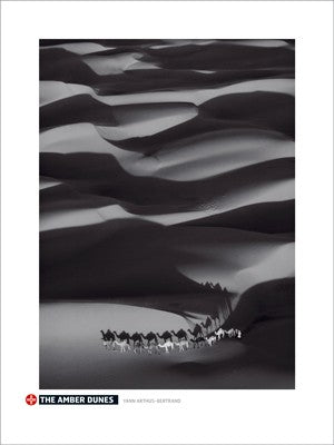 Amber Dunes by Yann Arthus-Bertrand Wall Art Décor 31 1/2 x 23 1/2 Art Print