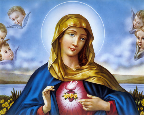 Framed Immaculate Heart of Mary 16 x 20