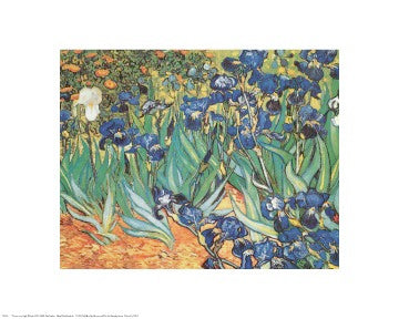 Iris Garden by Vincent van Gogh Wall Art Décor 16 x 20 Art Print