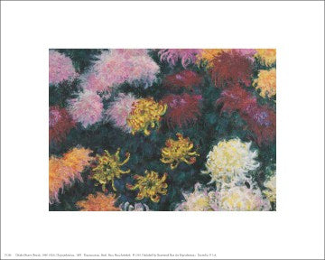 Chrysanthemum, 1897 by Claude Monet Wall Art Décor 8 x 10 Art Print