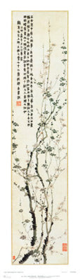 Framed Plum Blossoms by Chin Nung | 35 1/4 x 10