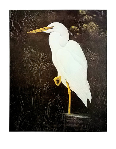 Framed Great White Heron by Gerard Smith | 24 x1/2 x 19 1/8