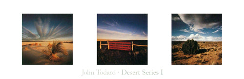 Framed Desert Series I by John Todaro | 11 ¾ x 36
