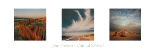 Framed Art Coastal Series I by John Todaro | 11 ¾ x 36