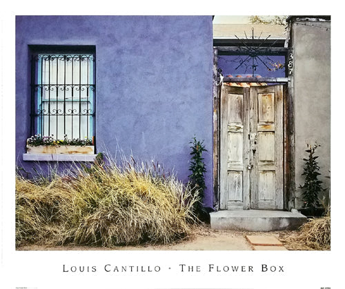 Framed The Flower Box by Louis Cantillo | 14 ¾ x 17 ½