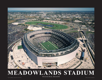 Framed Art NY Giants at New Meadowlands Staium, Inaugural Season by Mike Smith