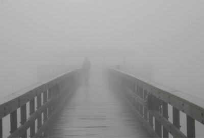 Into the Fog II by Gary Bydlo Wall Art Décor 8 x 10 Art Print