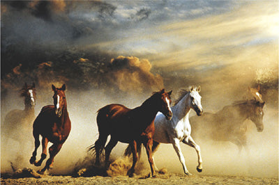 Stampede by Anon Wall Art Décor 24 x 36 Art Print