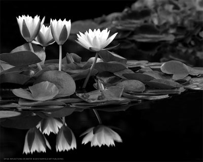 Reflections on Water Art Print by Dennis Frates - Serene Lake Wall Decor 8x10 inch