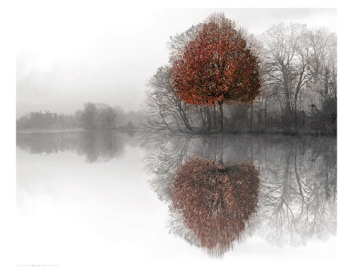 Mirror Lake by Ellen Fisch Wall Art Décor 17 x 22 Art Print