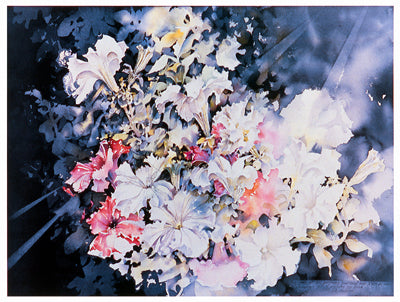 Morning Glories by David Maddern Wall Art Décor 11 x 14 Art Print