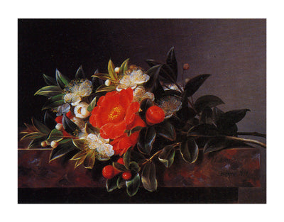 Camellia's Hypericum by Johan Laurentz Jensen Wall Art Décor 12 x 16 Art Print