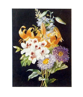 Geranium by Anon Wall Art Décor 20 x 16 Art Print