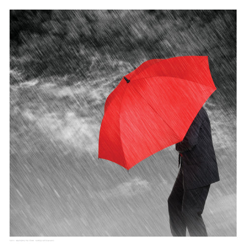 Framed Art Weathering the Storm 13 x 13