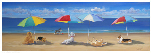 Framed Umbrella Paws by Carol Saxe | 6 ½ x 18 ½