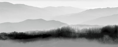 Zen Landscape I by Anon Wall Art Décor 8 x 20 Art Print